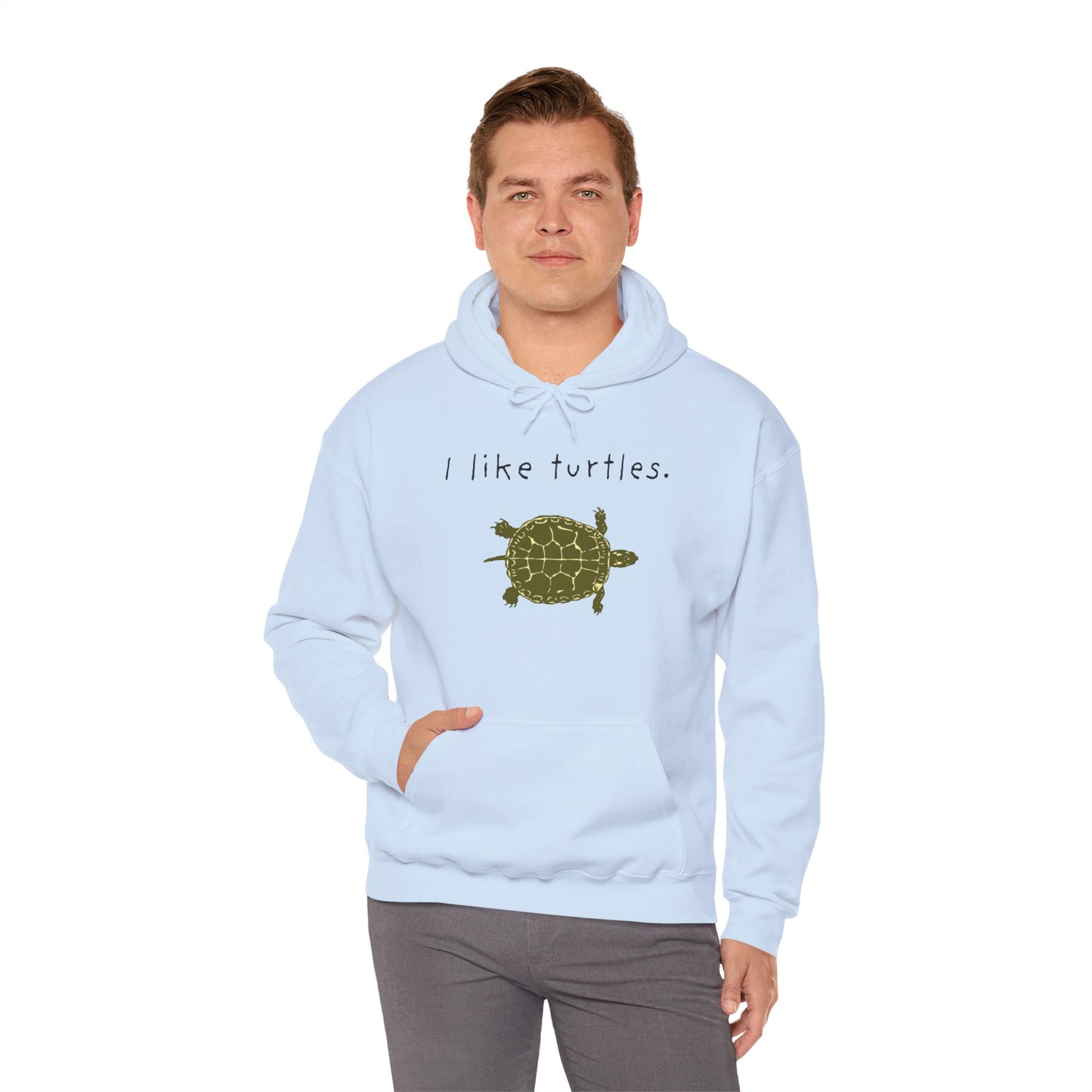 BIZR BAZR I Like Turtles Hoodie - Unisex Heavy Blend Sweatshirt