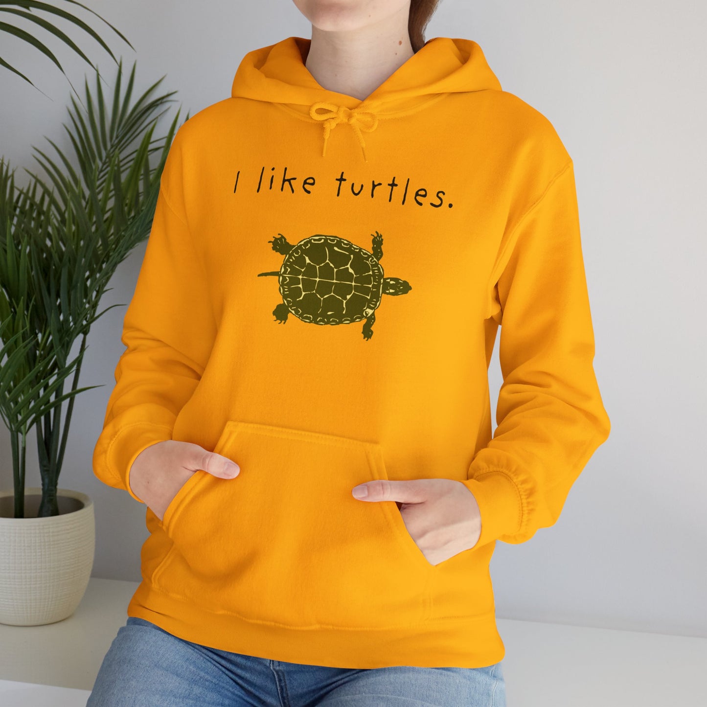 BIZR BAZR I Like Turtles Hoodie - Unisex Heavy Blend Sweatshirt