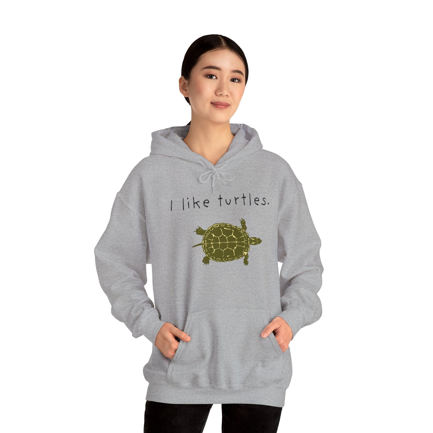 BIZR BAZR I Like Turtles Hoodie - Unisex Heavy Blend Sweatshirt