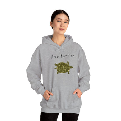 BIZR BAZR I Like Turtles Hoodie - Unisex Heavy Blend Sweatshirt