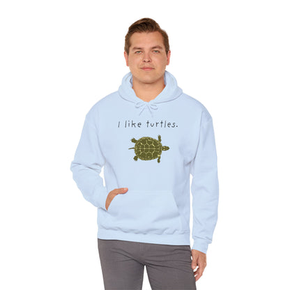BIZR BAZR I Like Turtles Hoodie - Unisex Heavy Blend Sweatshirt