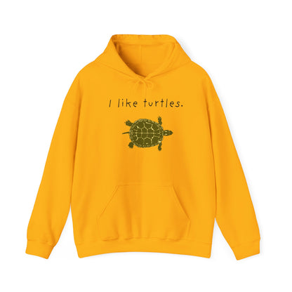 BIZR BAZR I Like Turtles Hoodie - Unisex Heavy Blend Sweatshirt