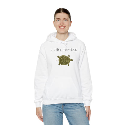 BIZR BAZR I Like Turtles Hoodie - Unisex Heavy Blend Sweatshirt