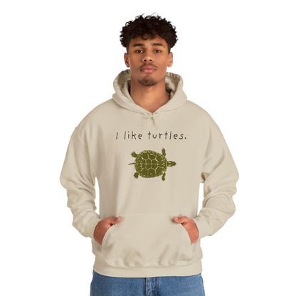 BIZR BAZR I Like Turtles Hoodie - Unisex Heavy Blend Sweatshirt