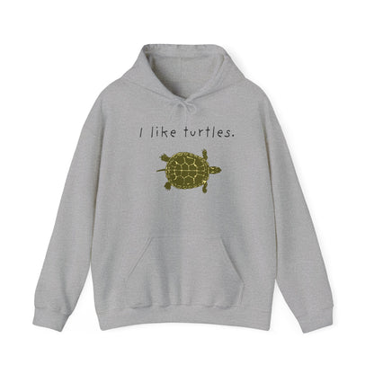 BIZR BAZR I Like Turtles Hoodie - Unisex Heavy Blend Sweatshirt