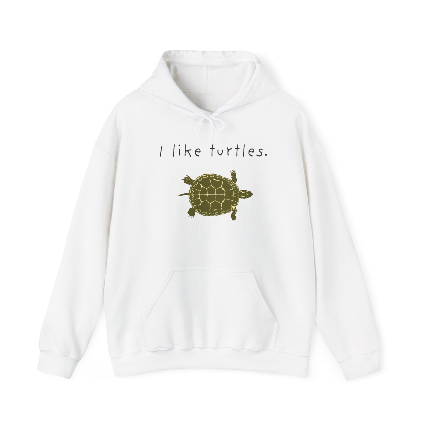 BIZR BAZR I Like Turtles Hoodie - Unisex Heavy Blend Sweatshirt