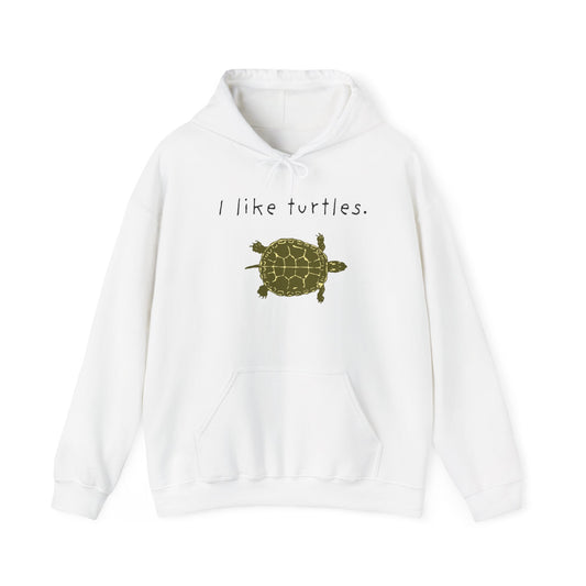 BIZR BAZR I Like Turtles Hoodie - Unisex Heavy Blend Sweatshirt